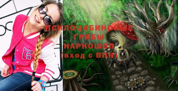ПСИЛОЦИБИНОВЫЕ ГРИБЫ Баксан