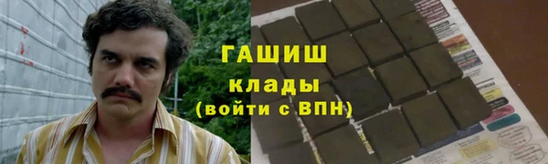 шишки Балахна