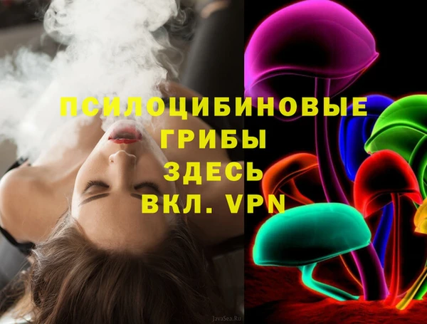 ПСИЛОЦИБИНОВЫЕ ГРИБЫ Баксан