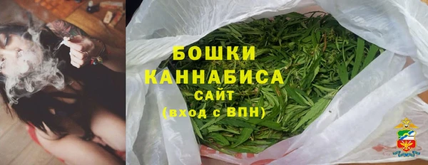 шишки Балахна