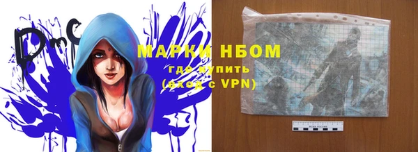 ПСИЛОЦИБИНОВЫЕ ГРИБЫ Баксан