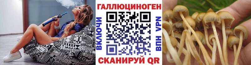 ссылка на мегу зеркало  Пятигорск  Псилоцибиновые грибы GOLDEN TEACHER  где продают наркотики 