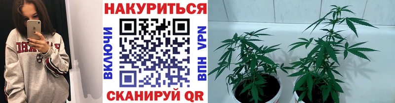Бошки Шишки VHQ  ссылка на мегу онион  Пятигорск  купить  